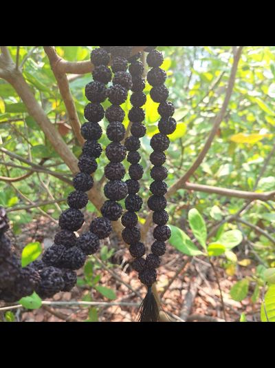 Четки из натуральной крупной Рудракши 108 бусин черные