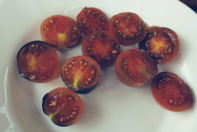 Томат Шоколадный подарок