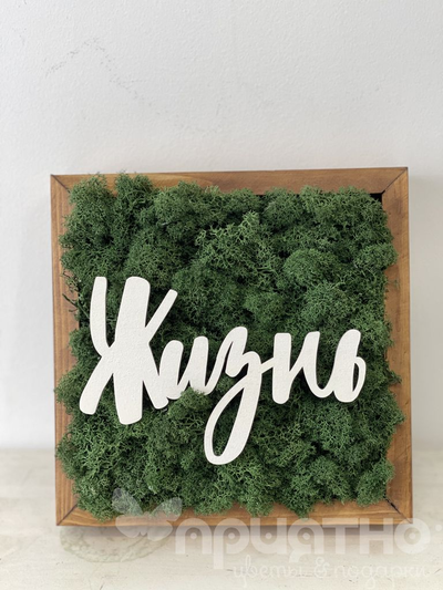 ЖИВАЯ ЭКО-КАРТИНА 1059