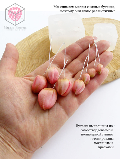 Набор молдов "Бутоны орхидеи фаленопсис"