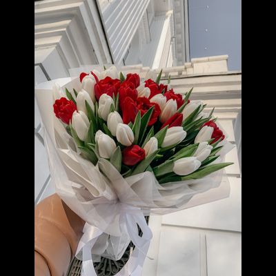 Красные тюльпаны "Поцелуй весны" 35