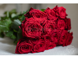 Роза РЕД НАОМИ