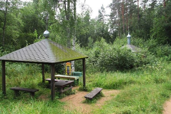 Родник, святой источник Казанской иконы Божией Матери деревня Ижицы