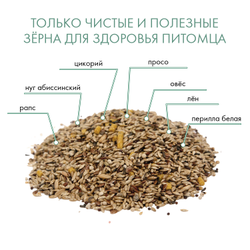 Fiory (Фиори) Canarini корм для канареек, 400 г