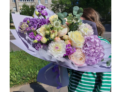 Виолла