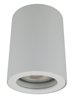 Влагозащищенный светильник Denkirs DK3007-WH