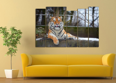 Модульная картина "Спокойный тигр"