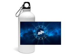 Спортивная бутылка год Кролика №9