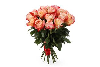 ИГУАНА ЭКВАДОР 15 ШТ