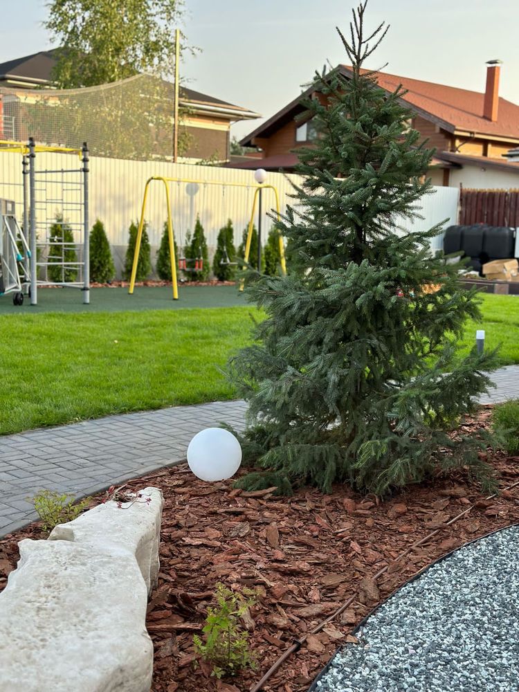 автоматический полив