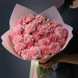 Классический букет из 25 розовых гвоздик