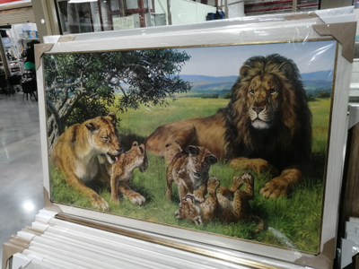 картина в раме 60 х 100 см  Львиный прайд