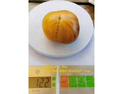 Томат Восставший Звездный Истребитель Кэйли Энн (Rebel Starfighter Kayleigh Anne)