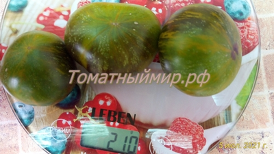 Томат Зеленая богиня Ксанаду (Xanadu Green Goddess), США