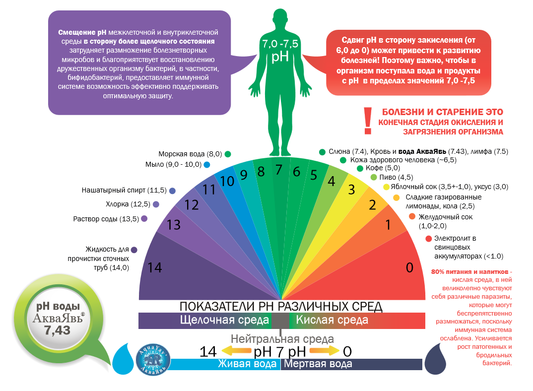PH среда в организме человека. Влияние кислотно щелочного баланса на организм человека. Кислотность среды PH И здоровье человека. Щелочная среда организма РН.