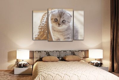 Модульная картина "Маленький в корзиночке"