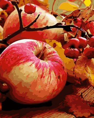 Картина по номерам 40х50 GX 34655 Осенние яблоки