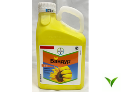 Бандур КС 5 л