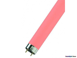 Sylvania F36w Pink T8 G13