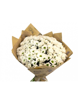 Чистые помыслы  (17 шт)