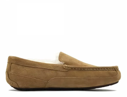 UGG Mens Ascot Chestnut