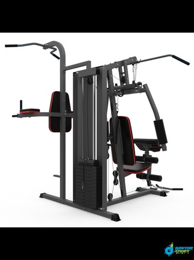 Силовой комплекс DFC D7004 (D7003 + опция брусья)