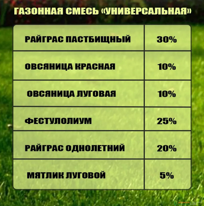 Газонная смесь "Универсальная" 1кг
