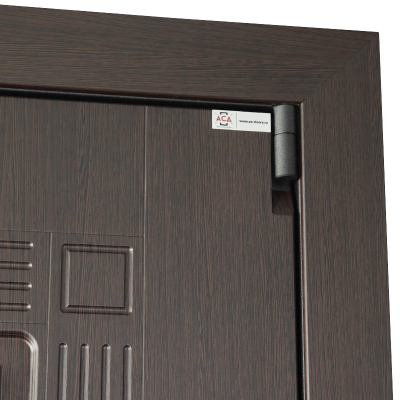 Стальная дверь   Викинг