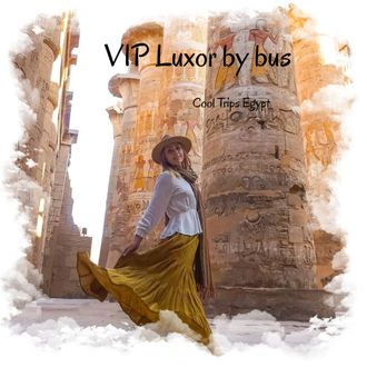 VIP LUXOR BY BUS FROM MARSA ALAM