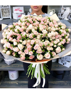 51 кустовая кремовая роза