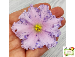 НД-Хоровод  (Н.Данилова-Суворова) 2021 г.