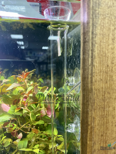 SwetAqua Glass bottom feeder 300 - стеклянная кормушка с трубкой для донных рыб