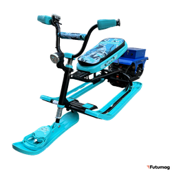 Электроснегокат Elektrosam 60V8AH