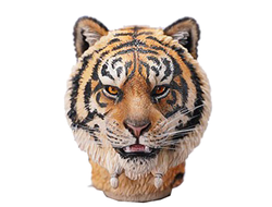Голова (скульпт) с кистями - рыжий тигр 1/6 Tiger Head Figure (MS2103B) - Mostoys