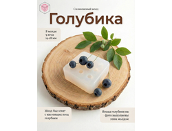 Молд "Голубика"