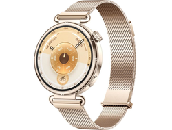 Huawei Watch GT 6 41mm (55020FVW) Золотой