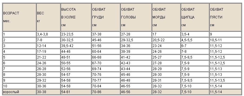 Таблица. Примерные показатели веса, роста и других промеров щенка  Голден Ретривера