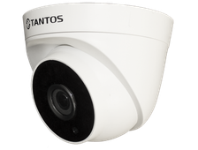 IP камеры TSi-Eeco25F (On-Line, без записи)