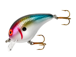 Воблер Bomber Shallow A (B05FS-BTS)