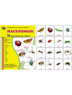 Демонстрационные карточки "Насекомые"(63х87 мм)