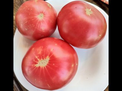 Томат Хелен немецкий (Helen's German)