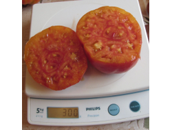 Томат Туксханс красно-жёлтый (Tuxhorn’s Red and Yellow)