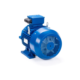 Электродвигатель АИС 100LB2 (4 кВт) IM B3