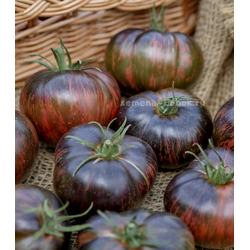 Томат Marsha's Starfighter Beefsteak (Бифштекс Марши), 10 шт