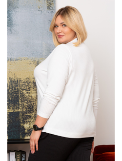 Водолазка Юпитер 222591 52,62р