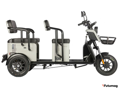 Электротрицикл Wanshida LC300 60V 1000Вт серый