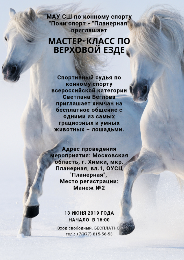 высказывания о лошадях. стихи про конный спорт. конный спорт стих. цитаты про лошадей. вопросы для конников.