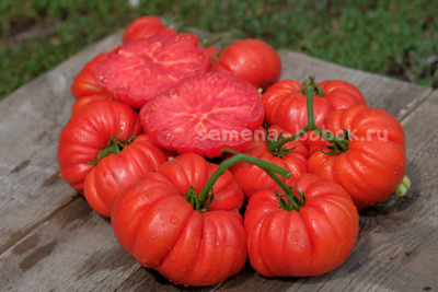 Томат Riccio Di Parma (Кудрявый из Пармы), 10 шт