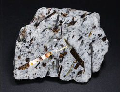 Астрофиллит на породе, Кольский п-ов, Хибины (57*45*24 мм, 70 г) №26161