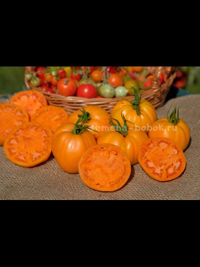 Томат Regalo Dall Italian (Подарок из Италии), 10 шт